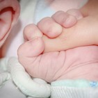 Prestaciones de paternidad