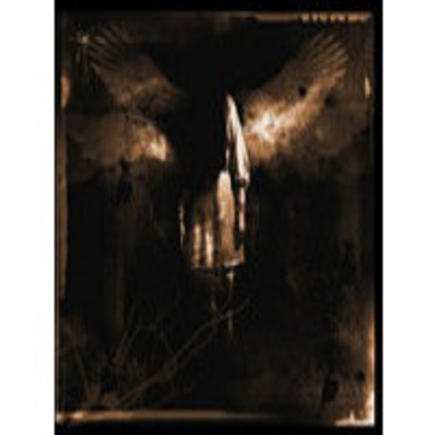 Podcast Metal Extremo