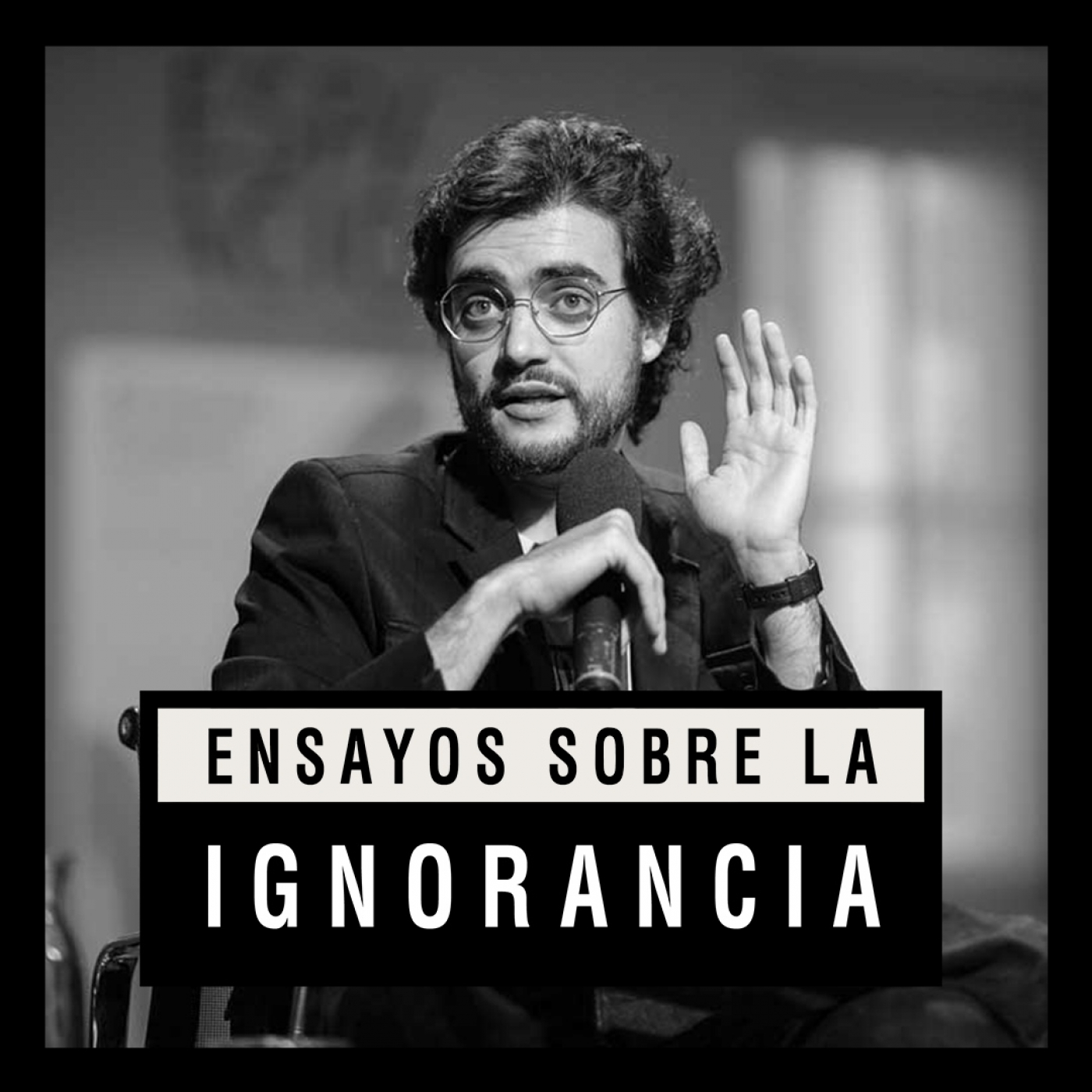 Ensayos sobre la ignorancia