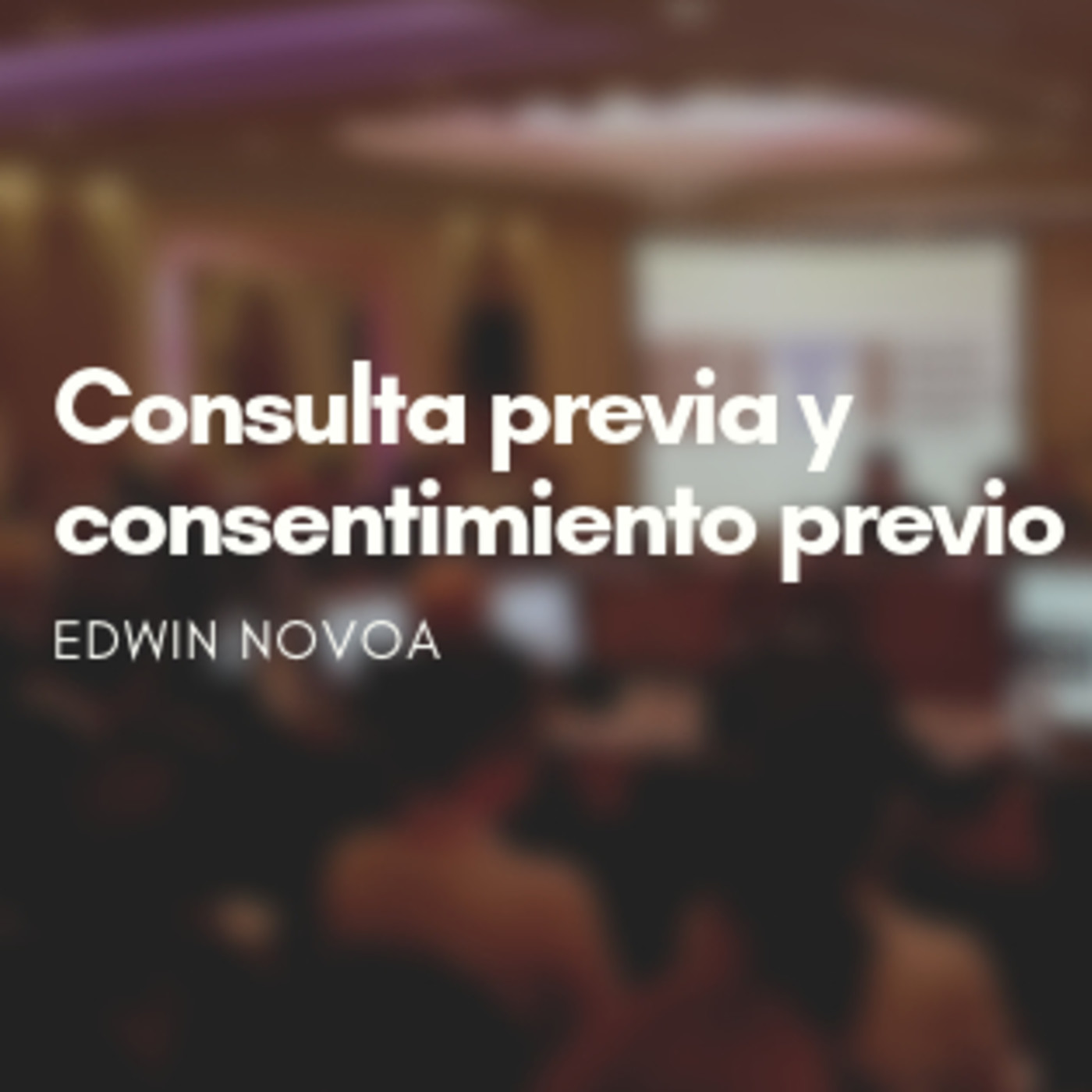 Asociación Ambiente y Sociedad
