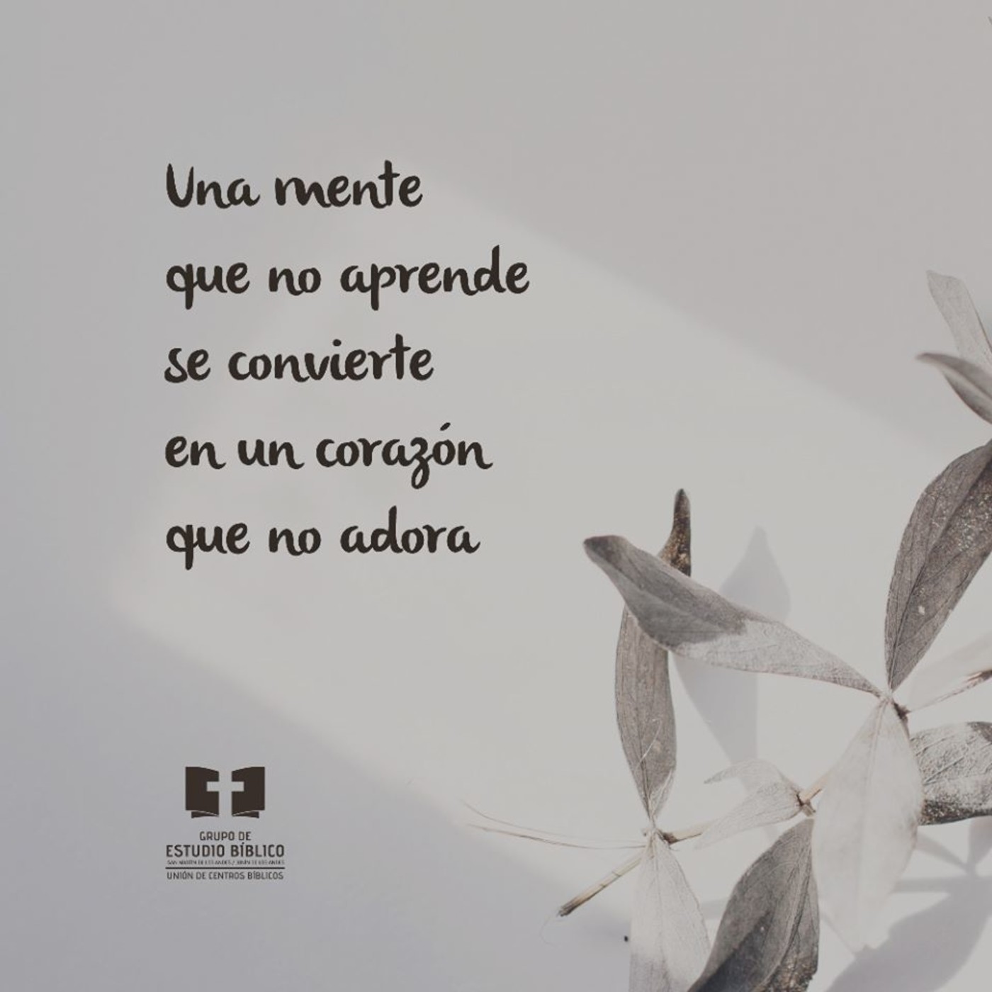 Efesios