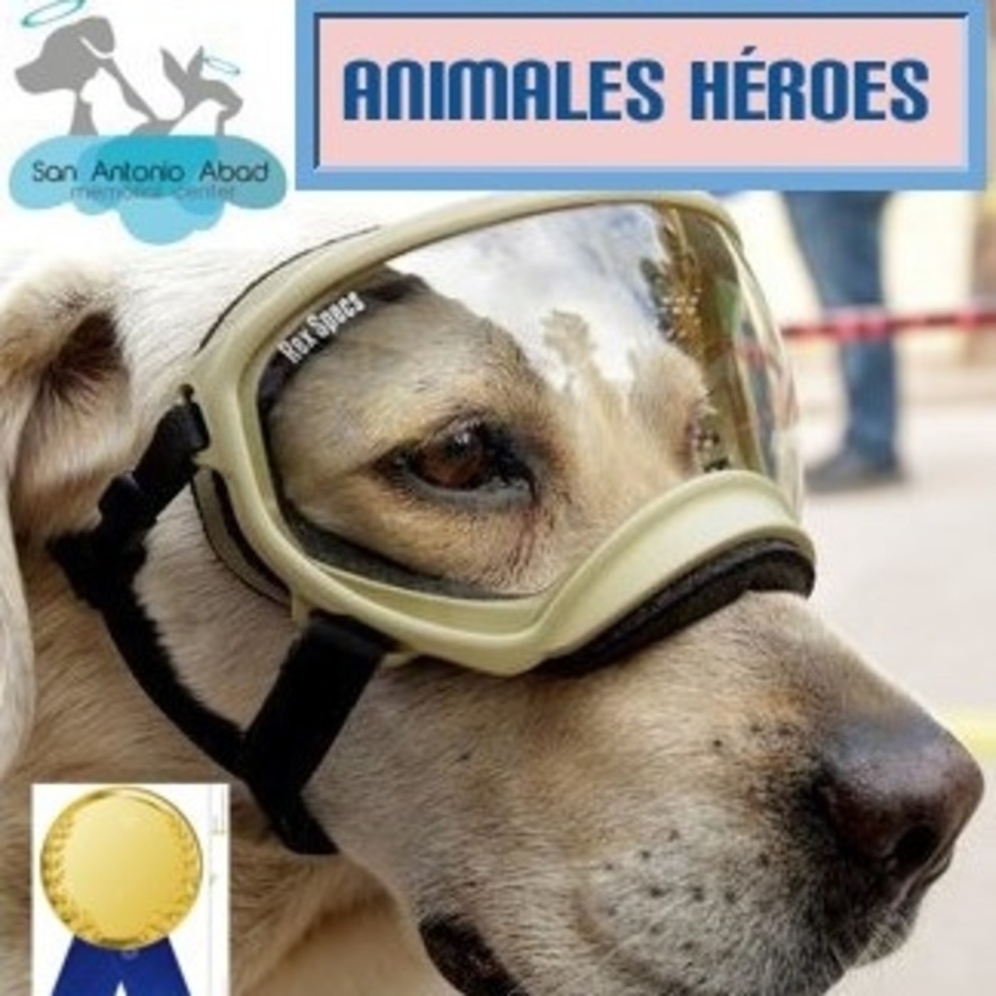 Podcast Mascotero - Mundo animal