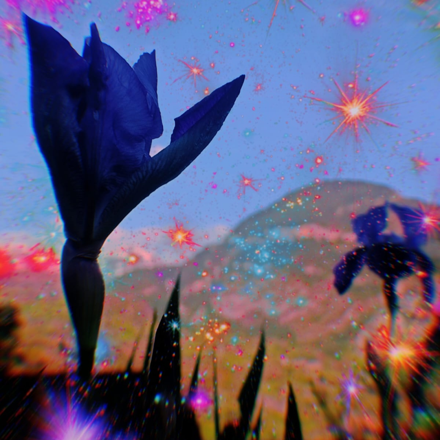 Entérate episode artwork