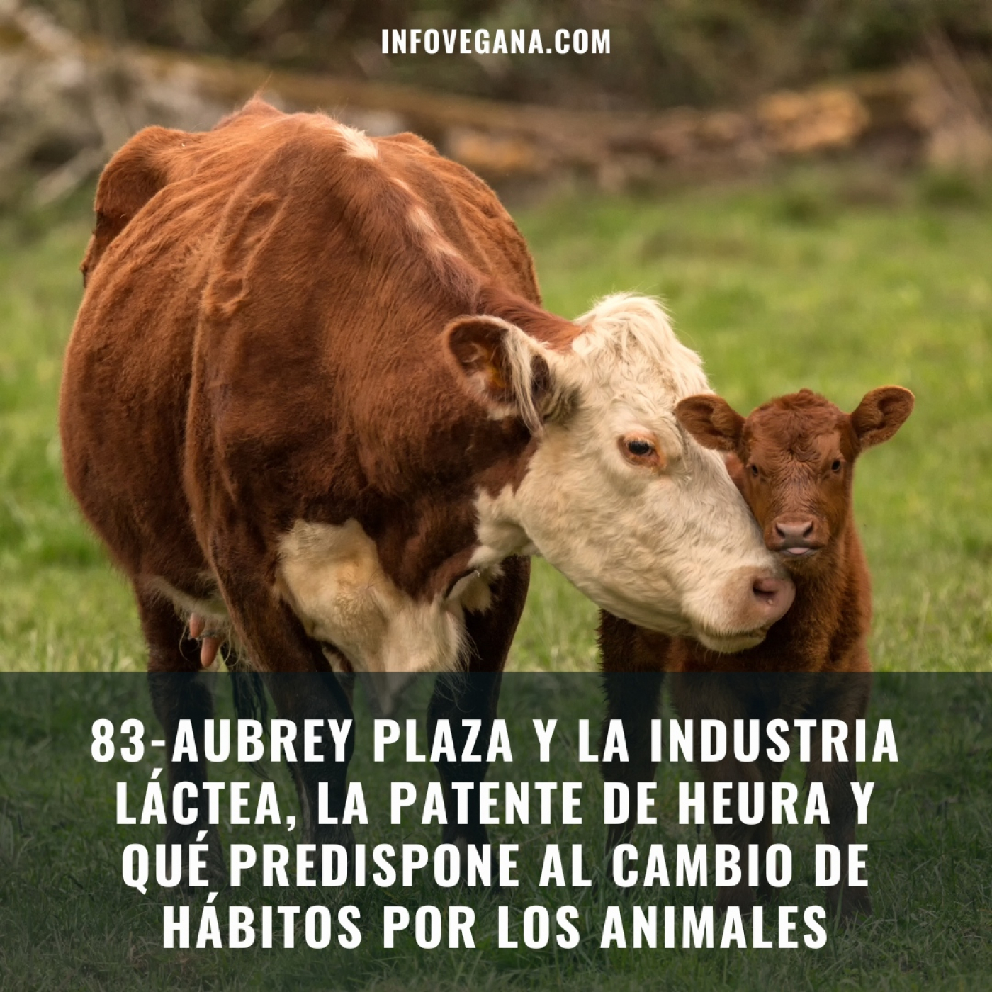 Infovegana, podcast de veganismo y sostenibilidad