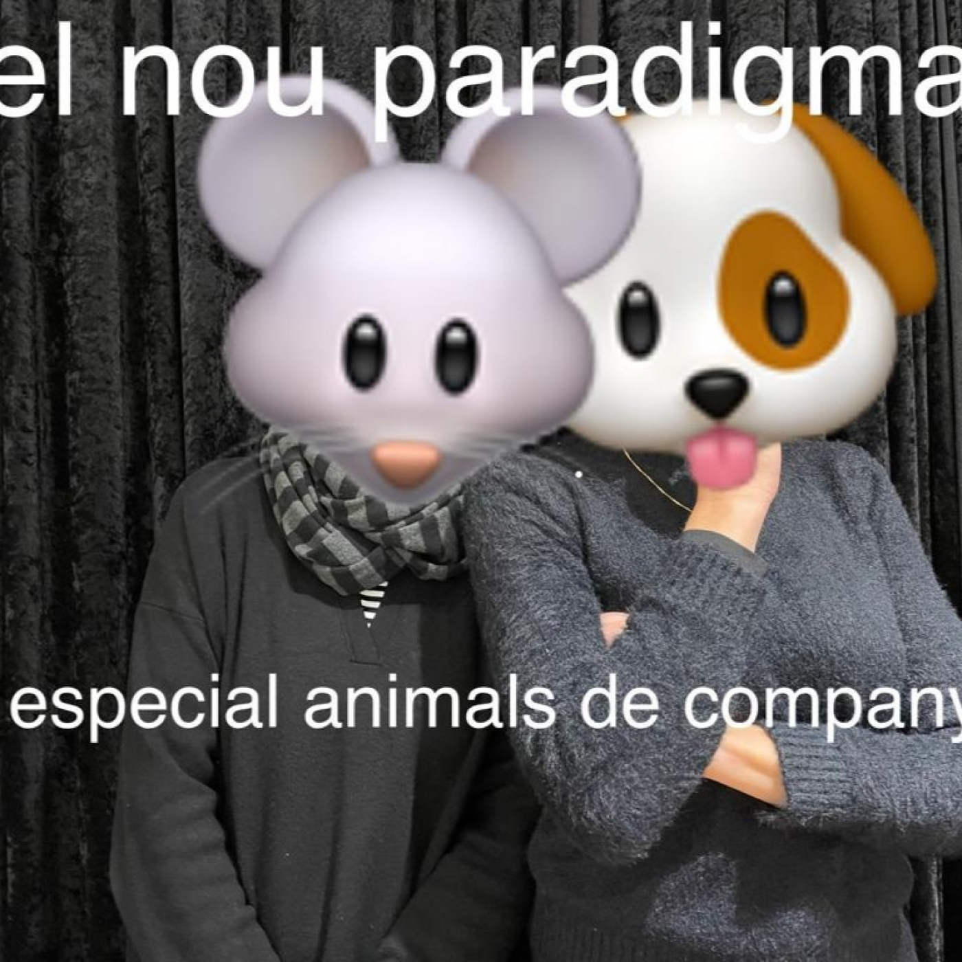 EL NOU PARADIGMA