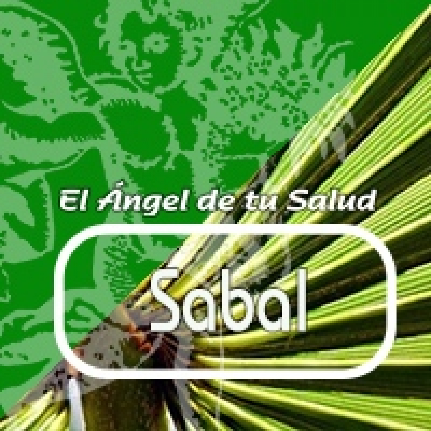 El Ángel de tu Salud - SABAL****