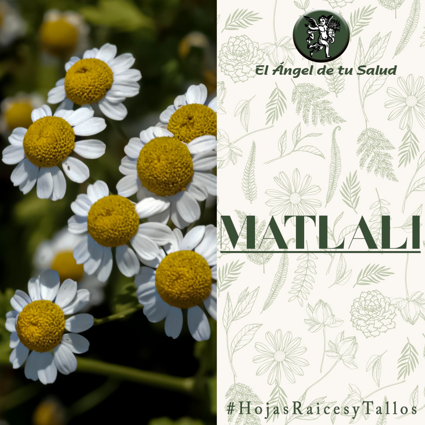 El Ángel de tu Salud - Matlali** episode artwork