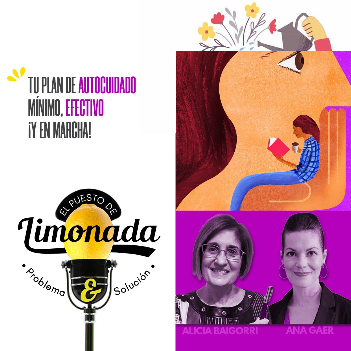 El Puesto de Limonada de P&S - Problema y Solución