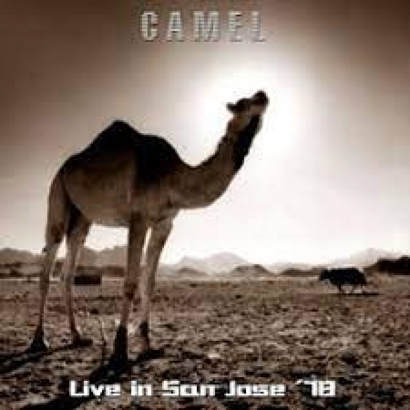 832 - Camel - Live San Jose 1979 episode artwork