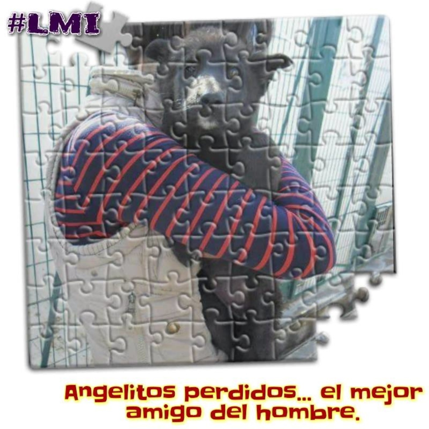 Legal/Mente Irreverente