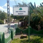 Forestales manatienses por mayor compromiso