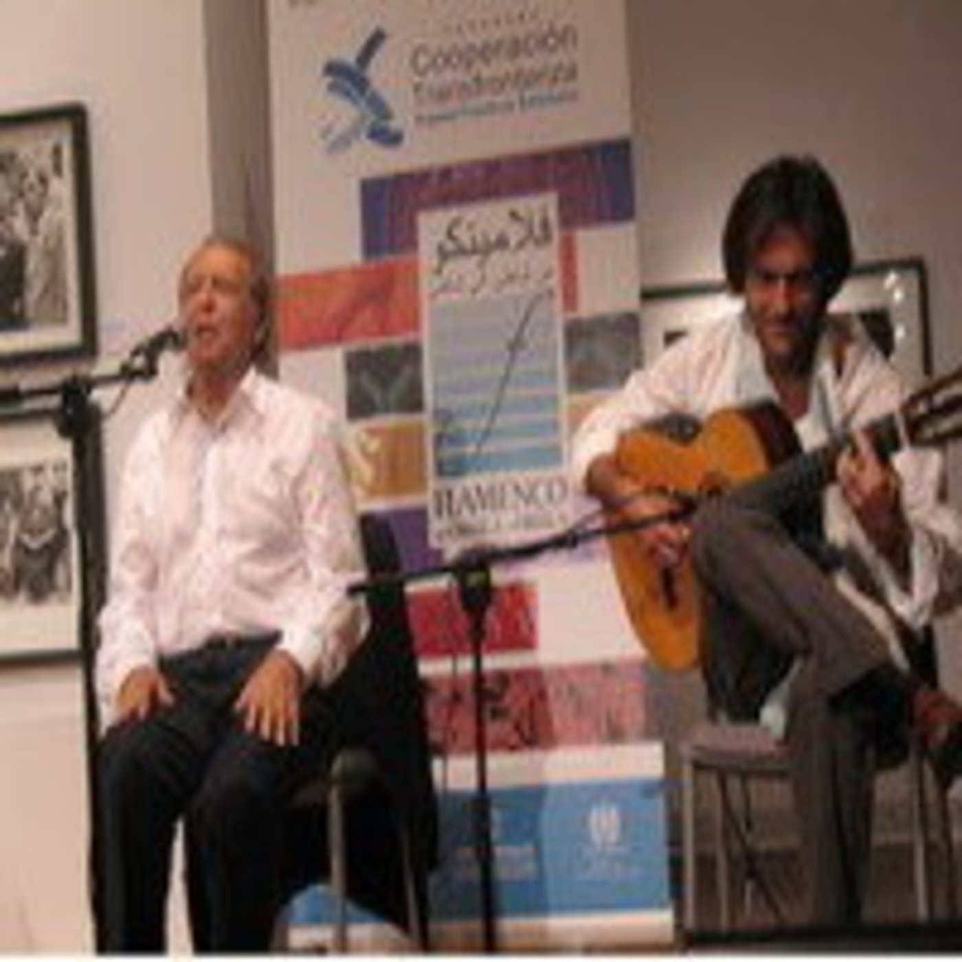 Flamenco de orilla a orilla
