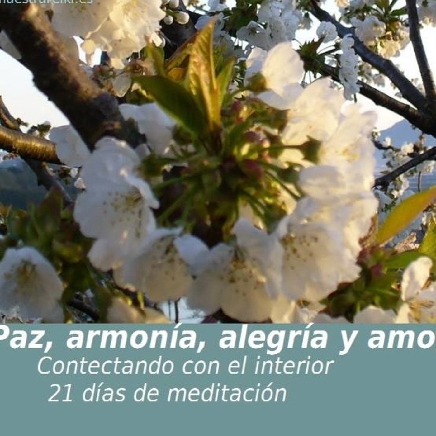 21 días de meditación, conectando con el interior