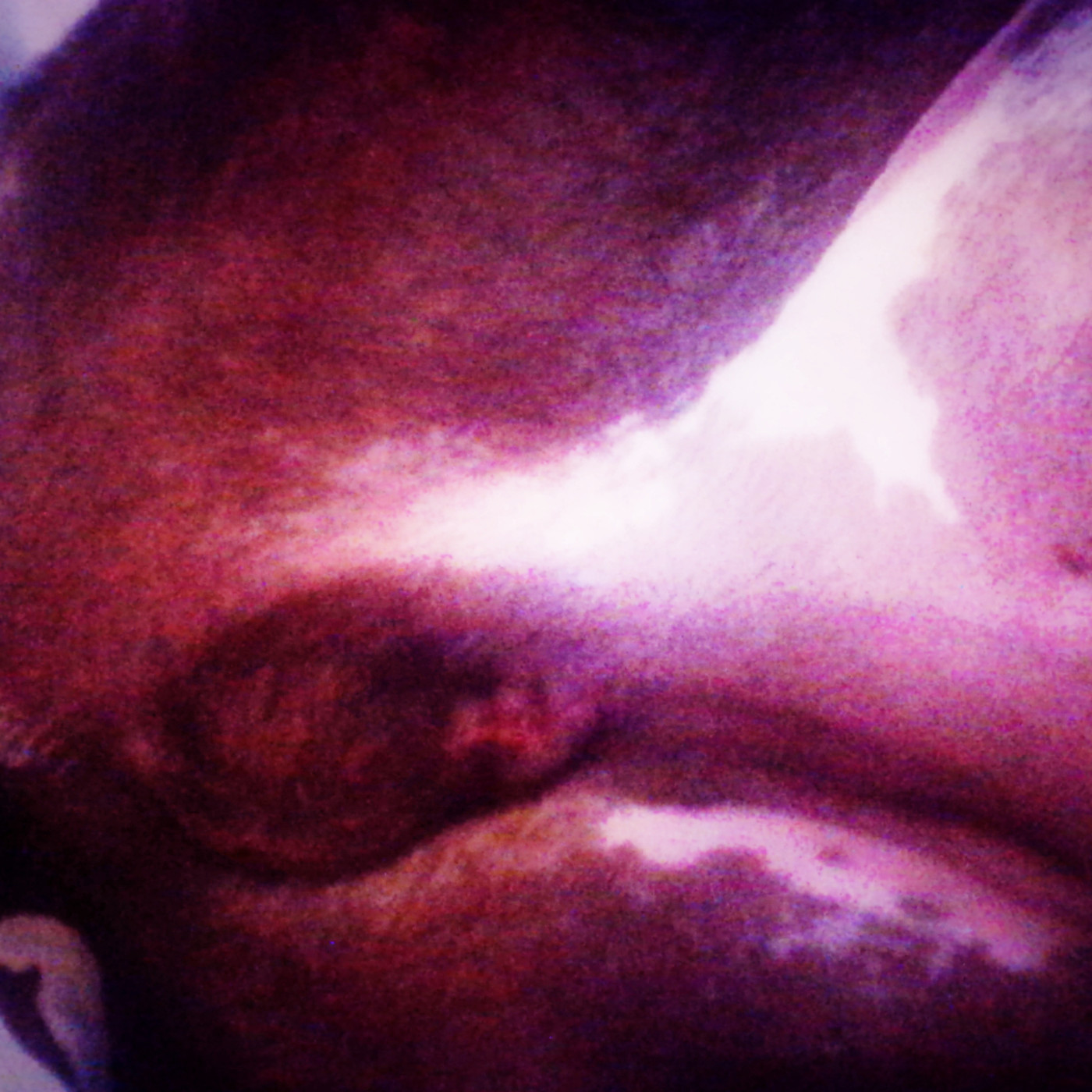 FILOSOFANDOANDO
