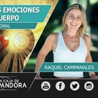 CÓMO AFECTAN LAS EMOCIONES A NUESTRO CUERPO - Raquel Campanales ( Kinesología Emocional )