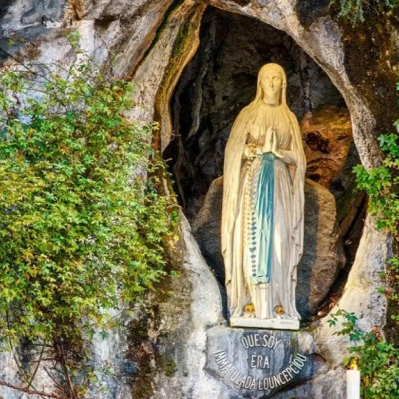 Mensajes del Papa Francisco