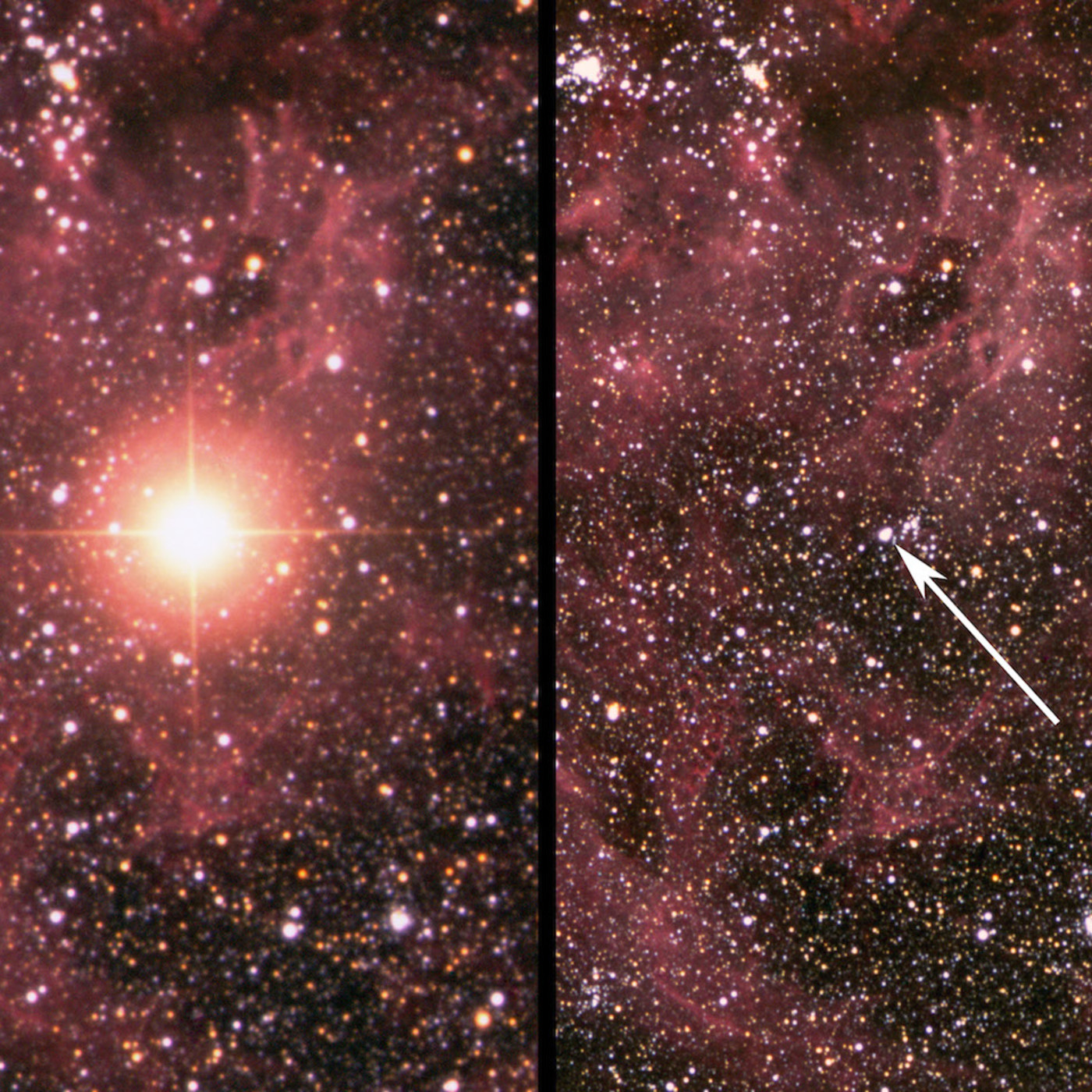 Astronomía para Principiantes en SBS Australia