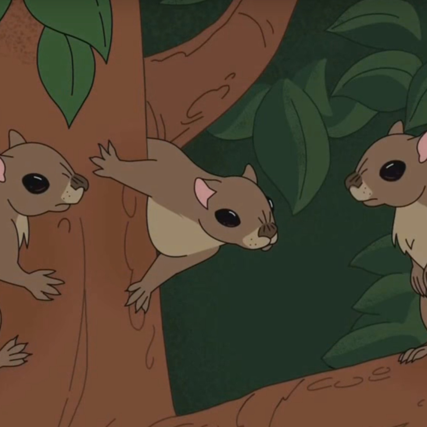 El Telégrafo del Caracol