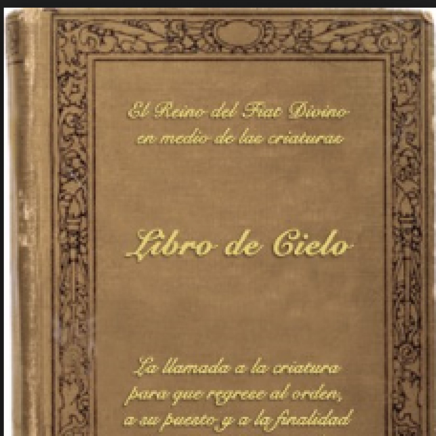 DIVINA VOLUNTAD LIBRO DE CIELO LUISA PICCARRETA