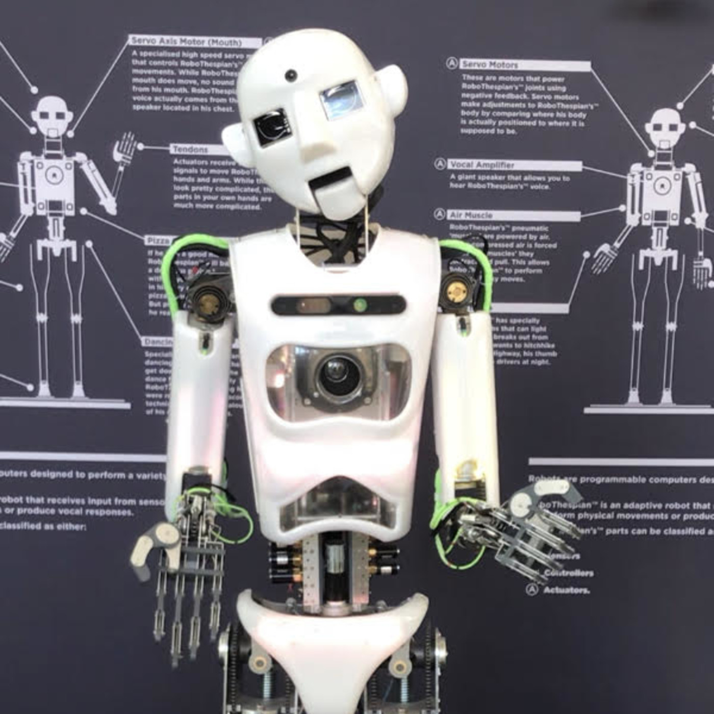 The ExperimenTinder