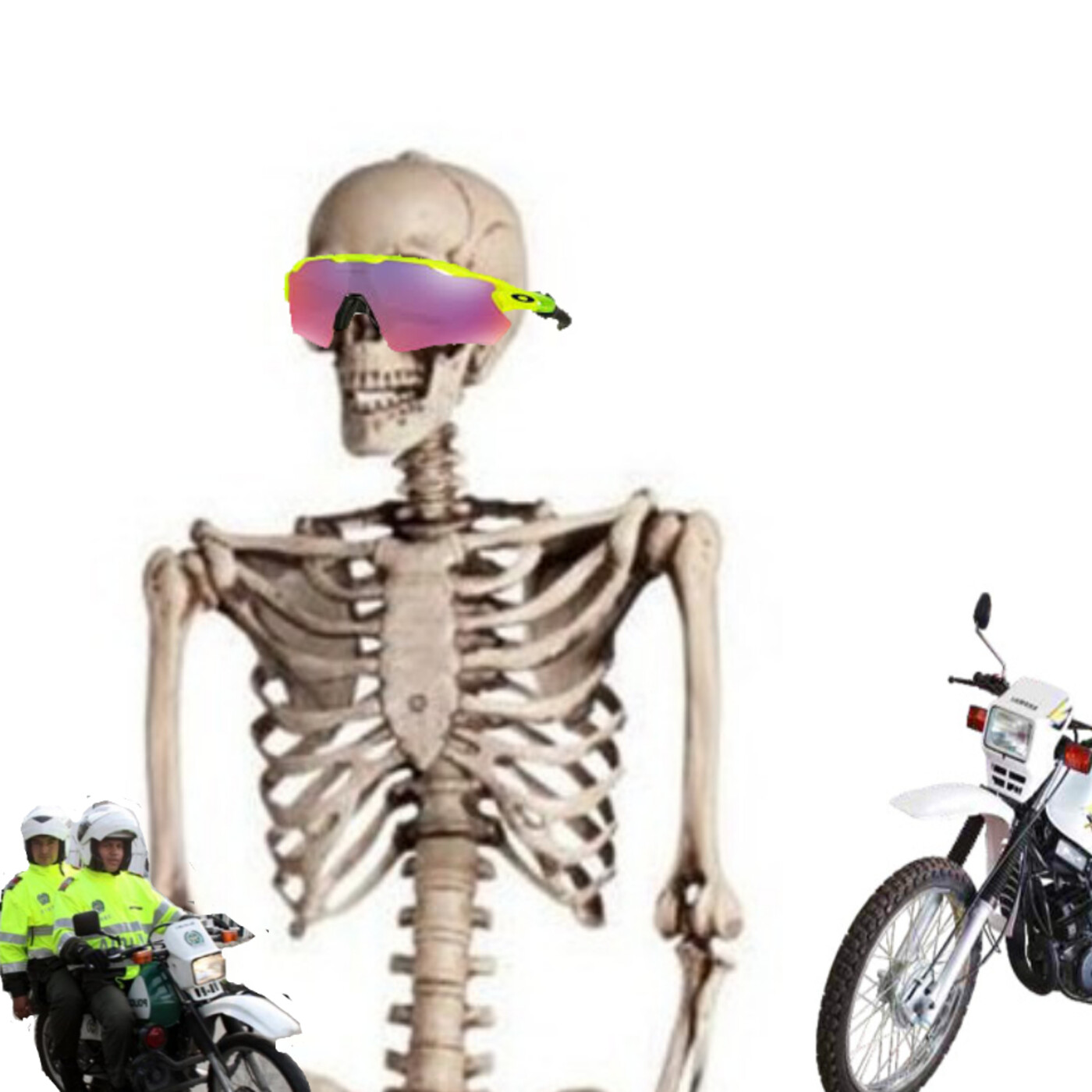 Carechimba  s h i t p o s t i n g