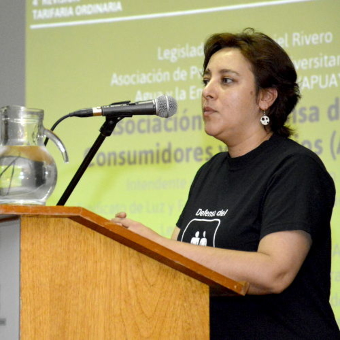 Audiencia Pública 4° RTO EdERSA