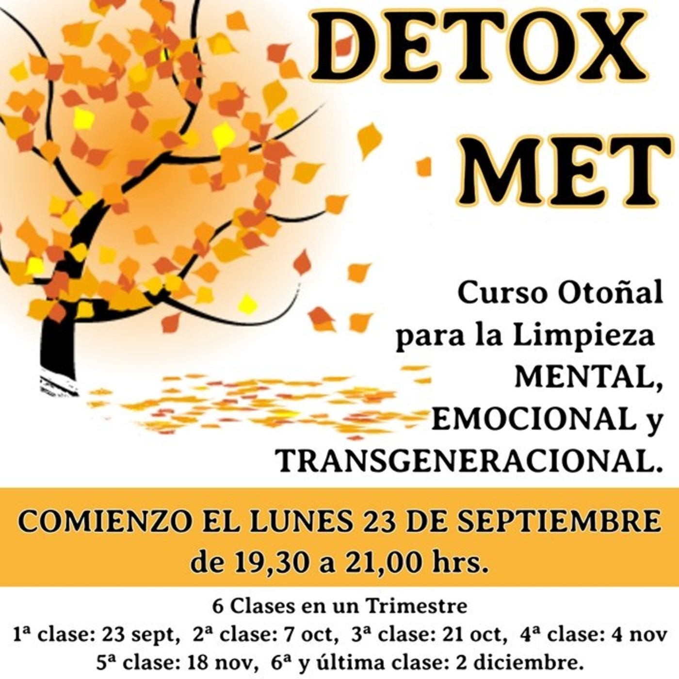 Mindfulness con Luz Navas Torres