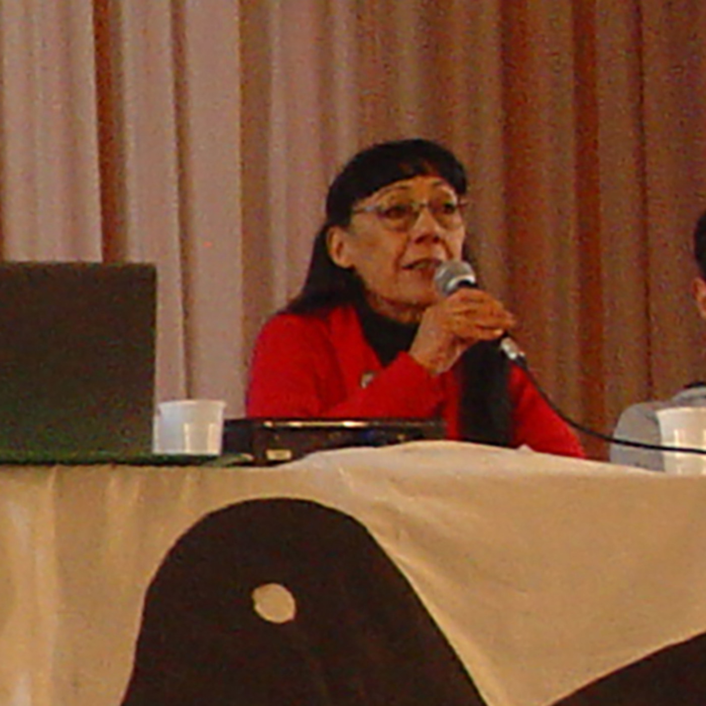 Segundo Panel: María del Carmen Verdú episode artwork
