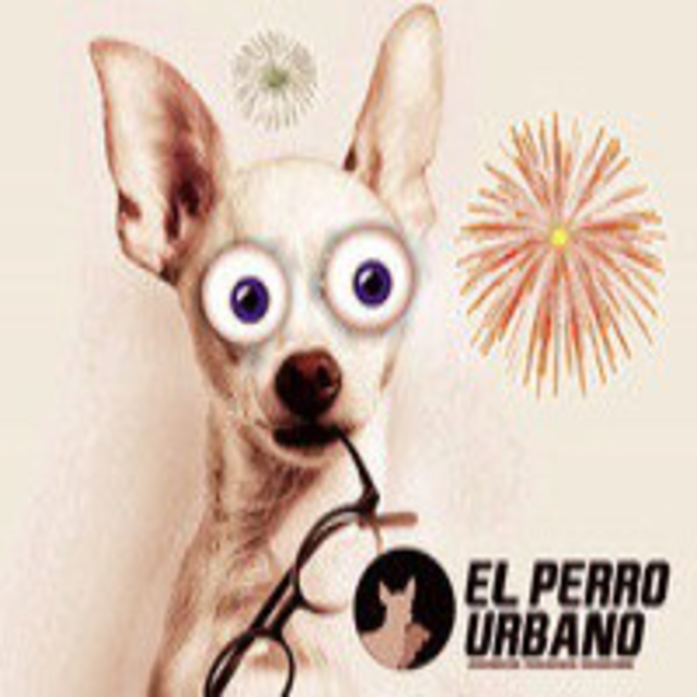 El perro urbano en laoncediez