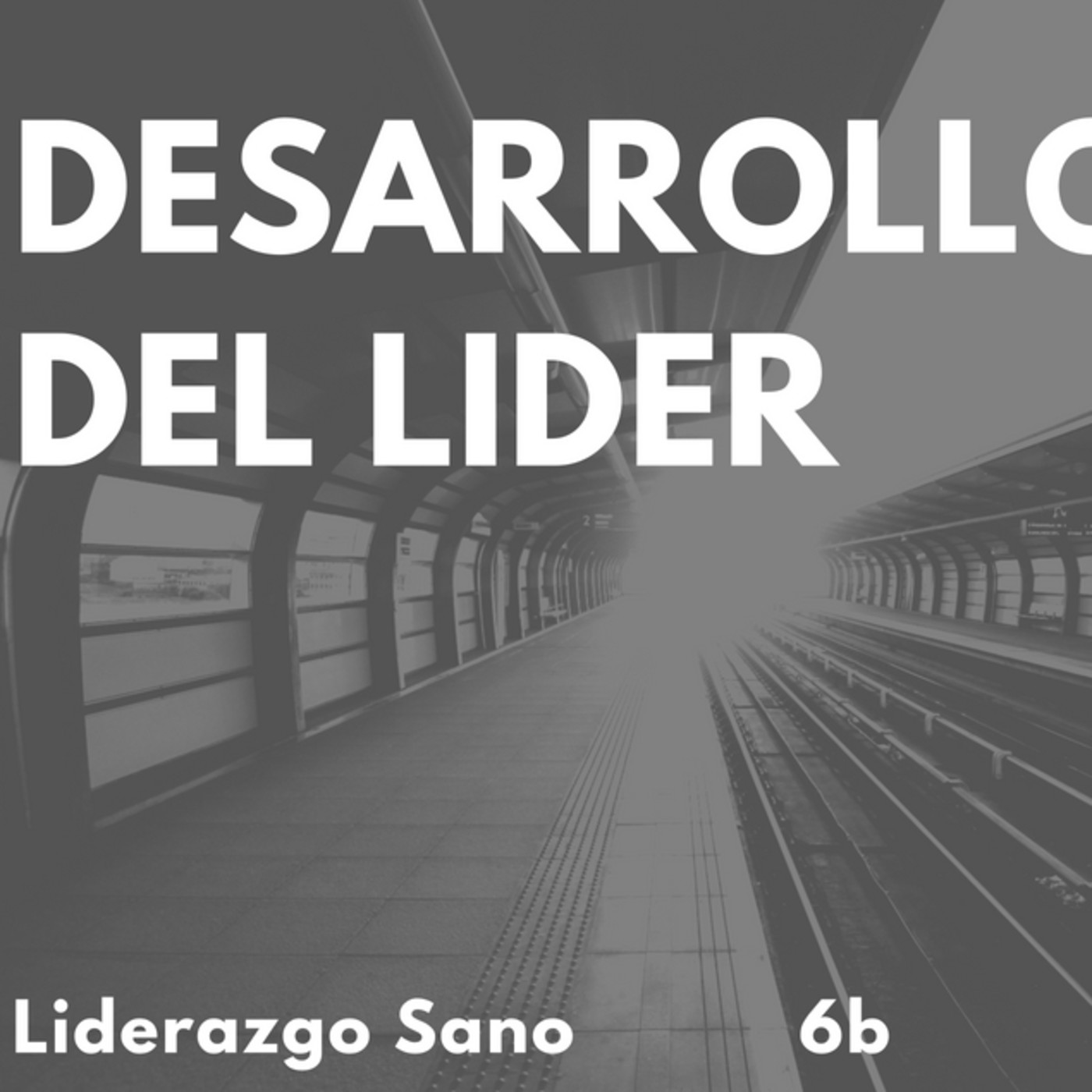 Liderazgo Sano