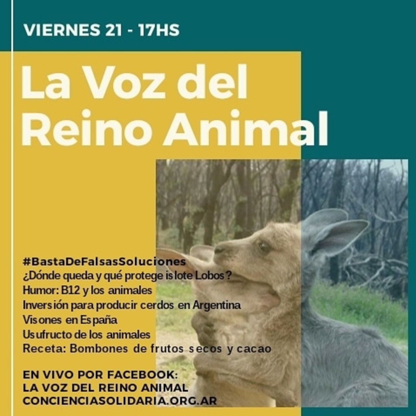 #LaVozDelReinoAnimal 21.08.2020 episode artwork