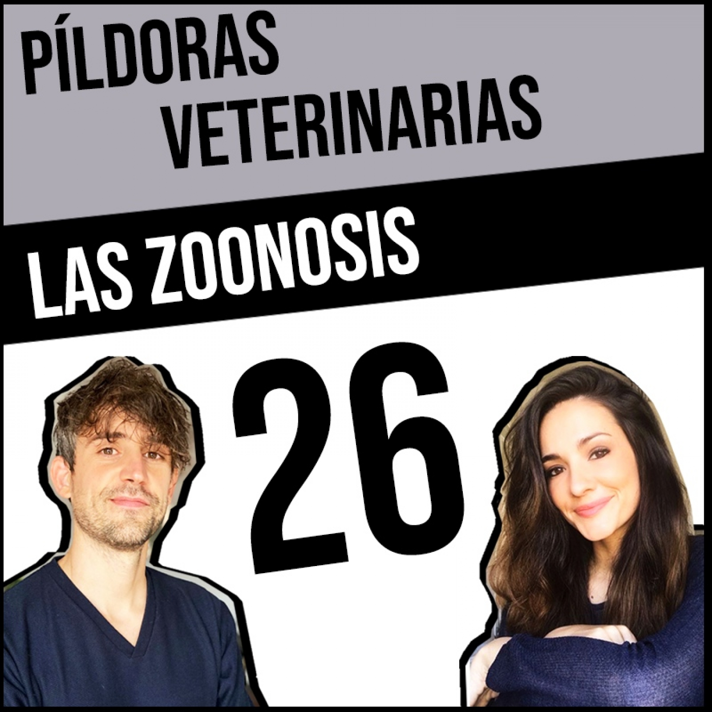 Píldoras Veterinarias