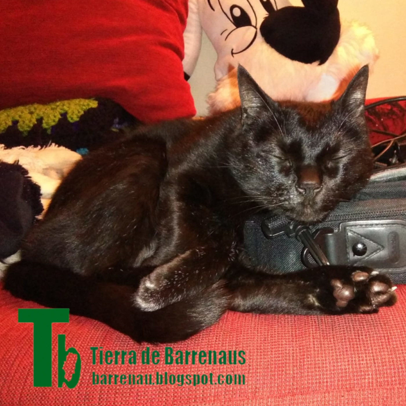 Tierra de varrenadas