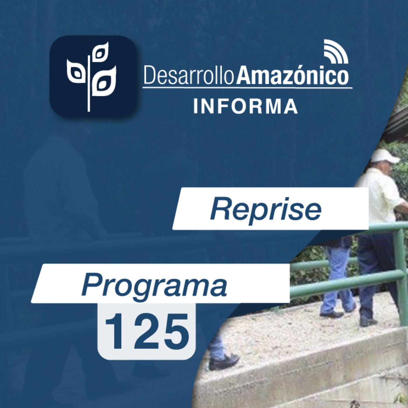 NOTAS INFORMATIVAS