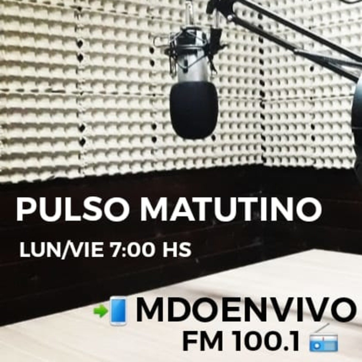 PULSO MATUTINO
