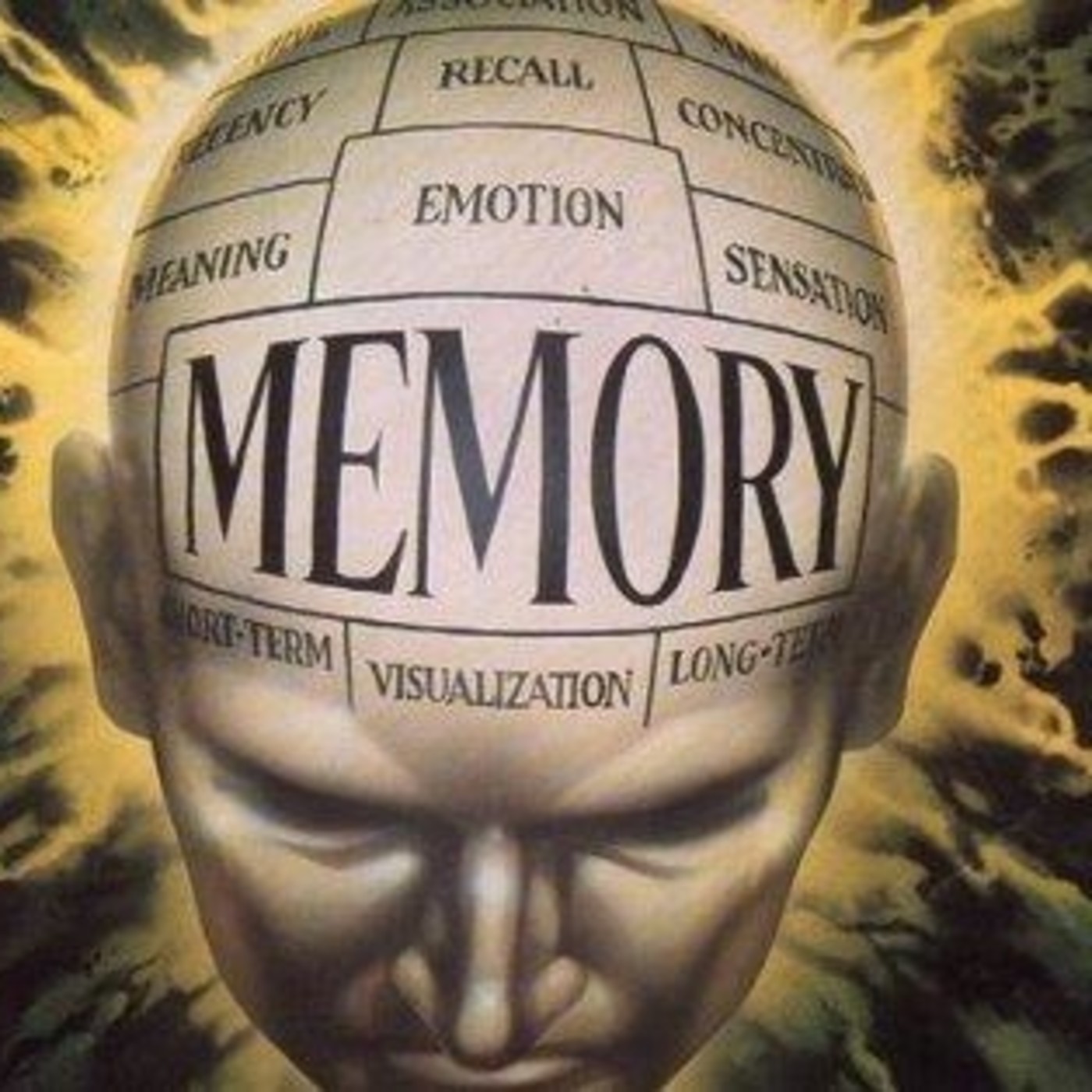 48- Neurociencia: memoria episode artwork