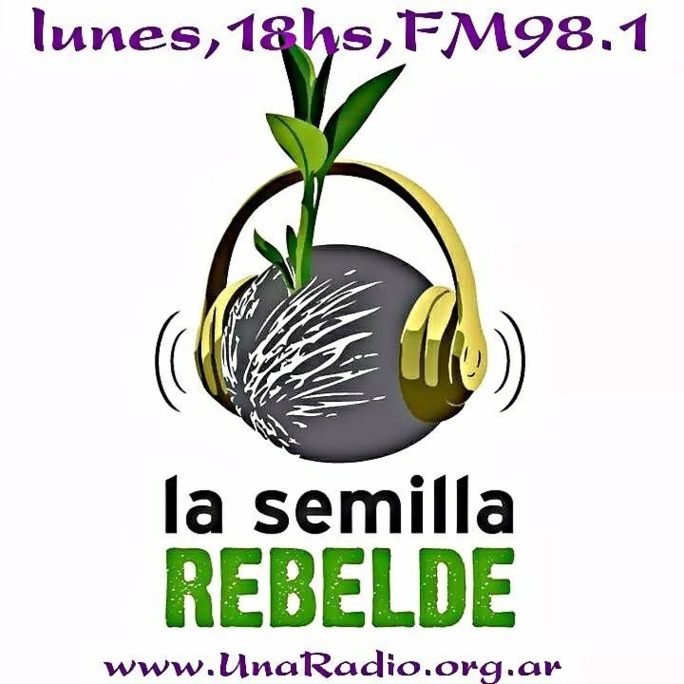 La Semilla Rebelde 15.1.2018 - Regional Córdoba - Conciencia Solidaria ONG episode artwork