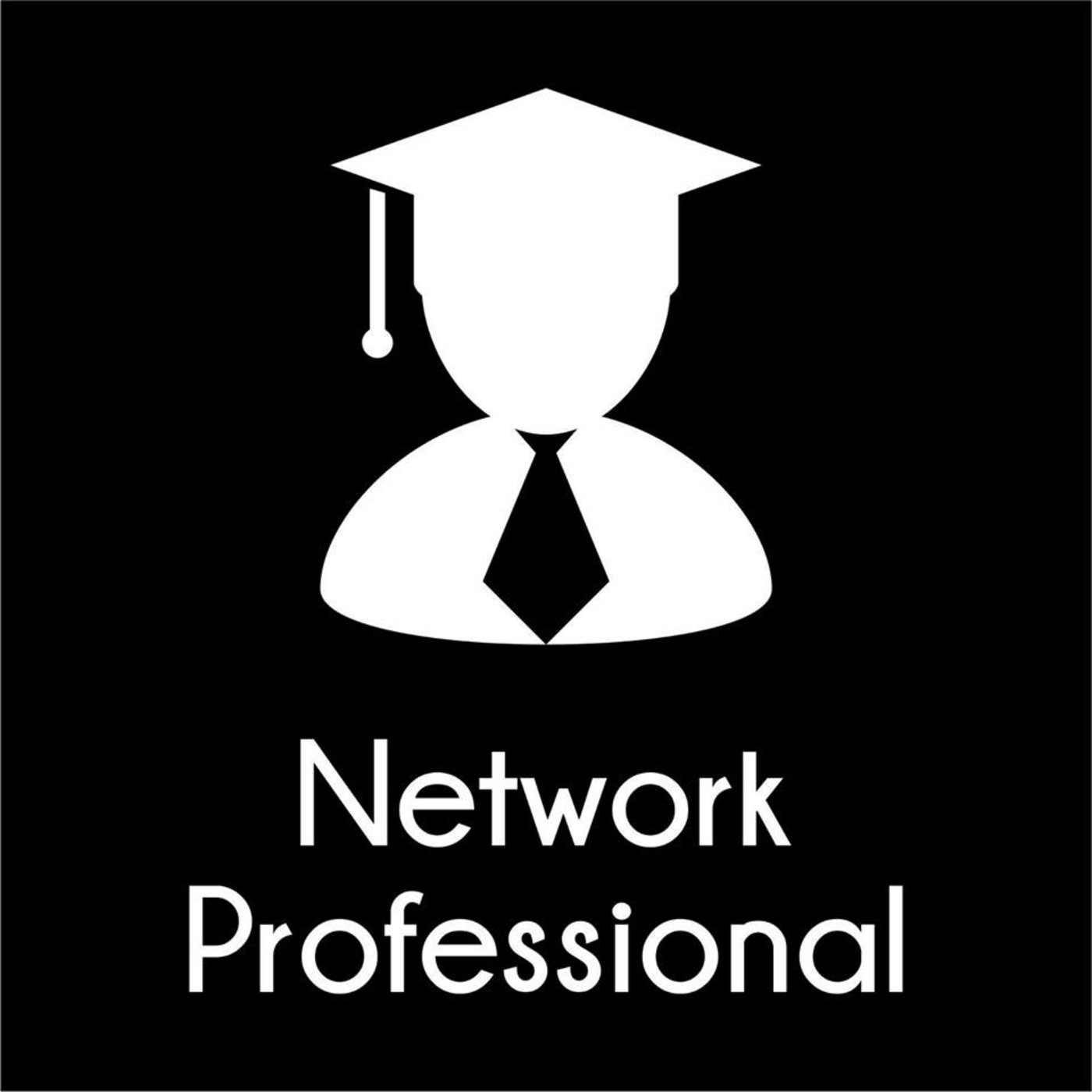 Network Professional