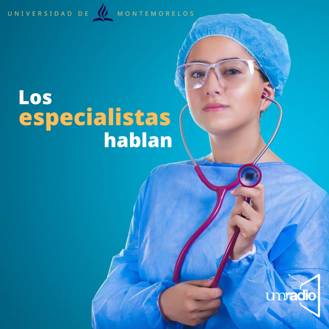 Los especialistas hablan