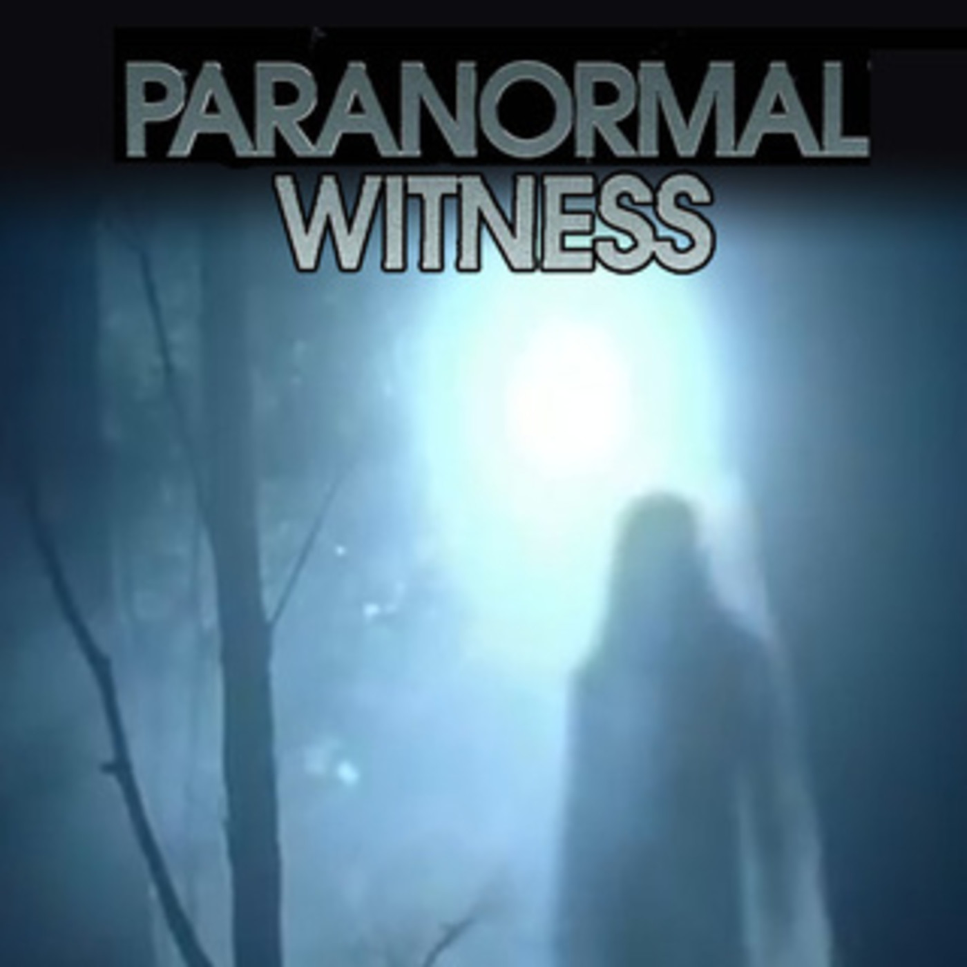 Paranormal Witness: Emily la Amiga Imaginaria #documental #podcast #misterio episode artwork