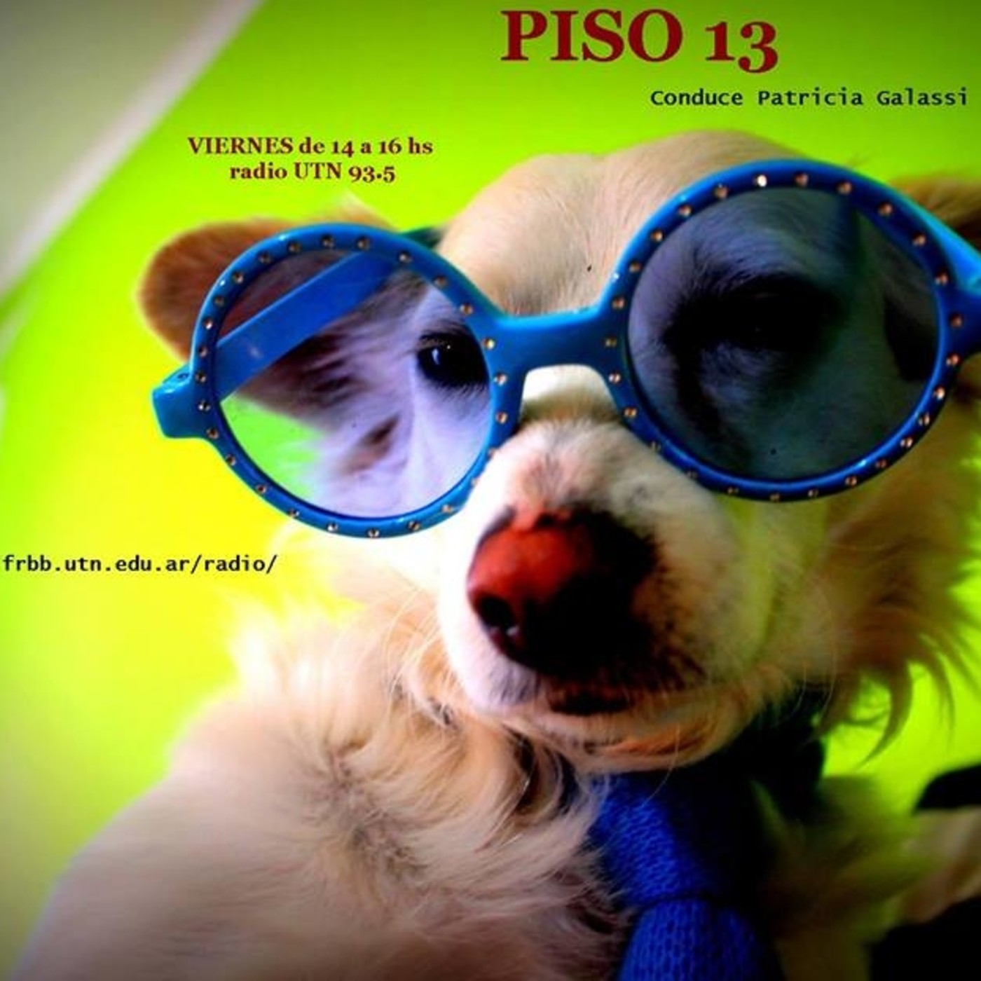 Piso 13