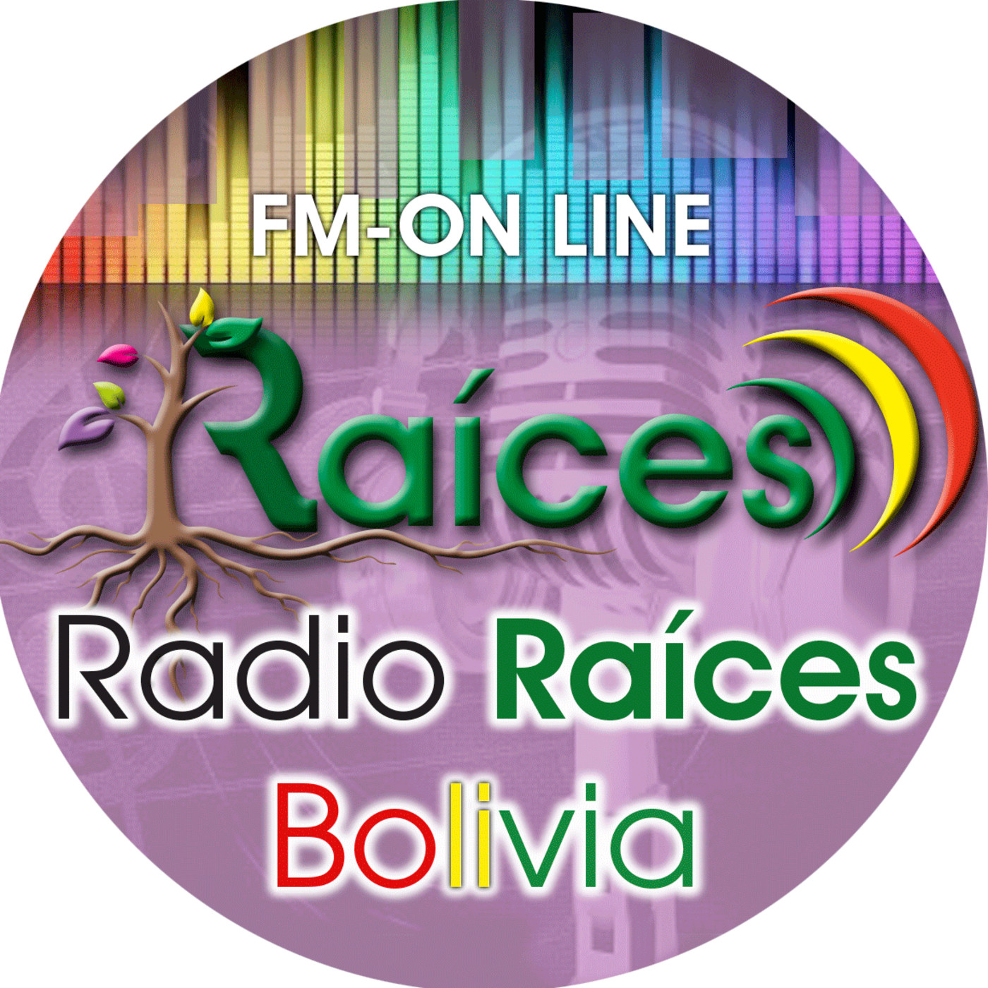 COMUNICACIÓN EN CASA POR RADIO RAÍCES