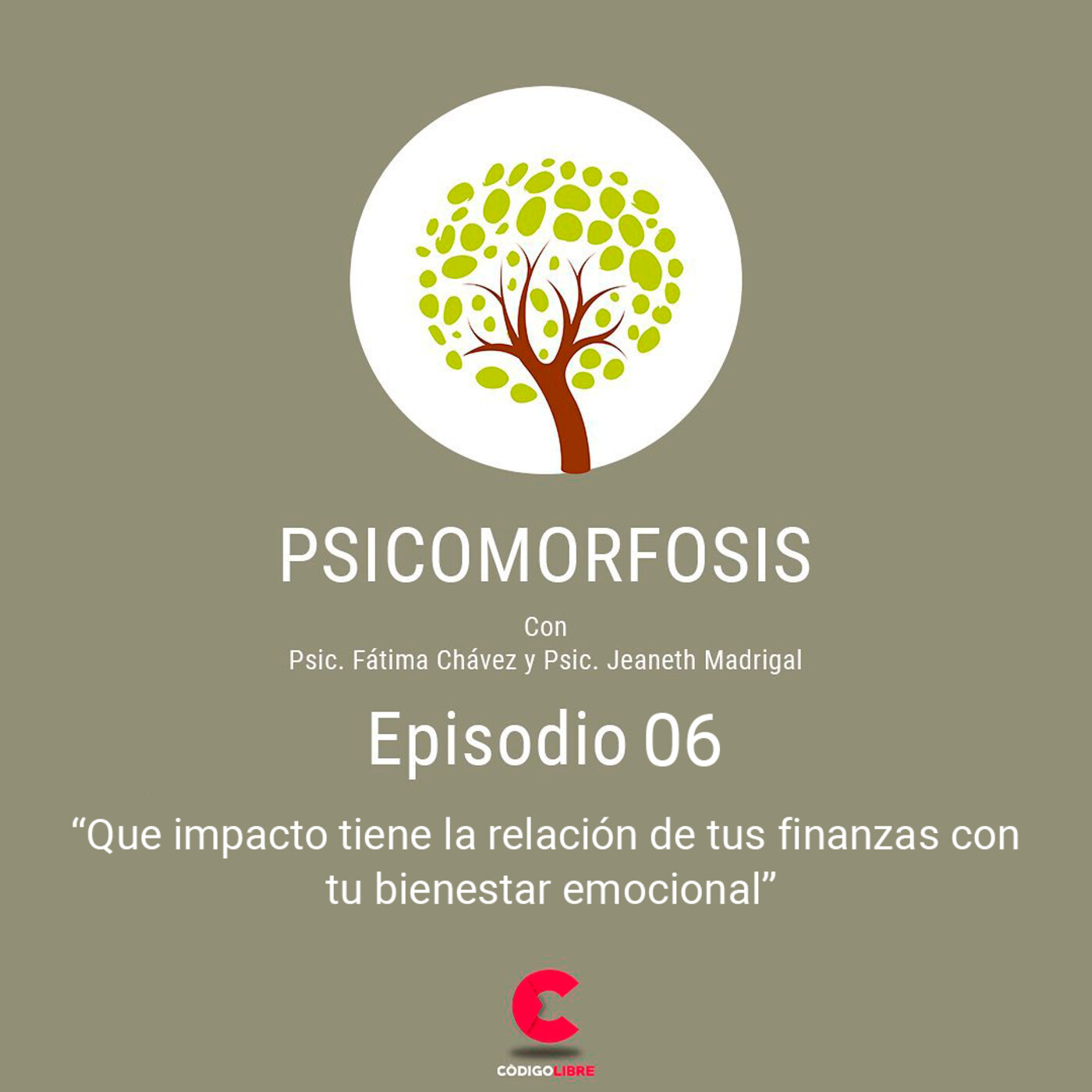 Psicomorfosis Ep. 6 :: Que impacto tiene la relación de tus finanzas con tu bienestar emocional Psicomorfosis Ep. 6 :: Que impacto tiene la relación de tus finanzas con tu bienestar emocional
