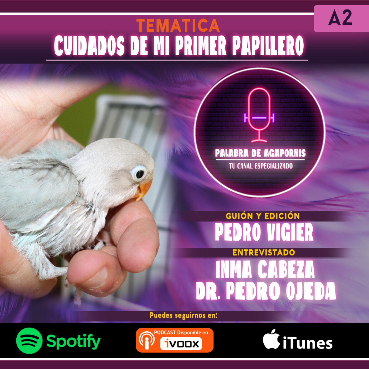 Mi primer Papillero I episode artwork