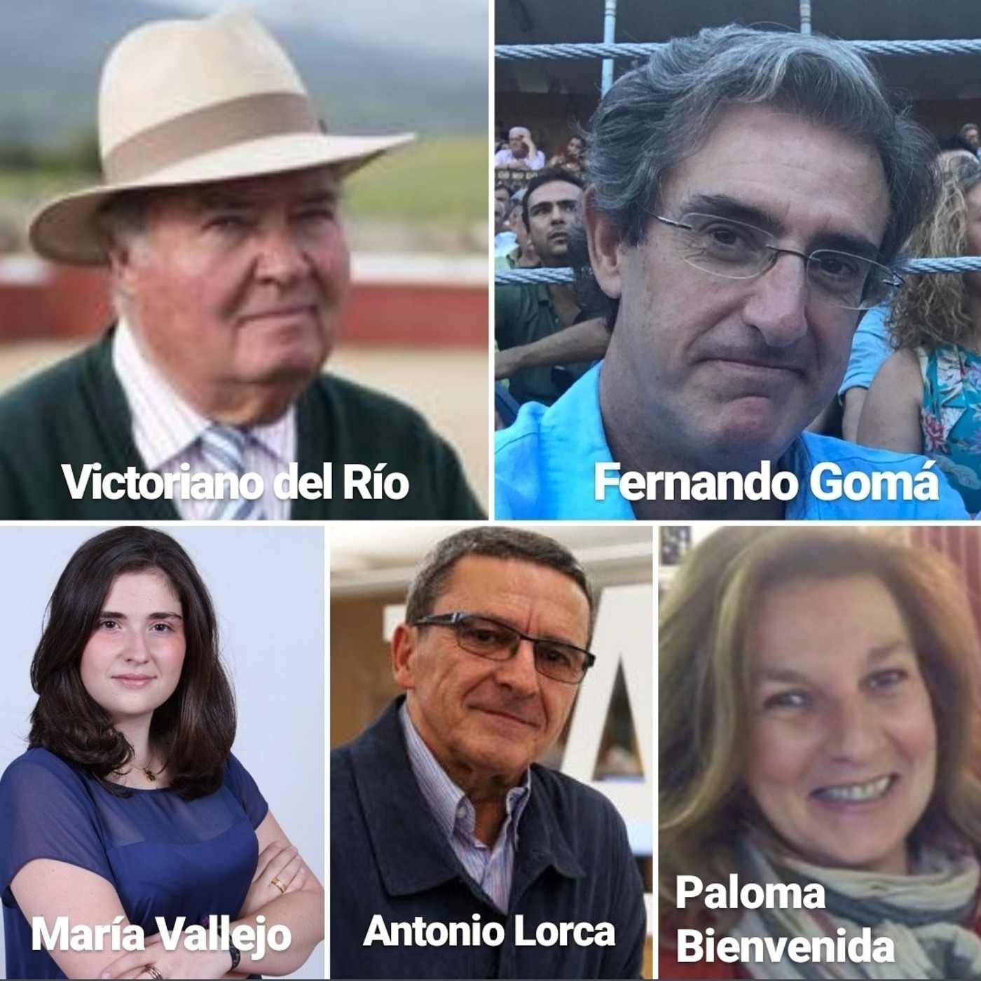 Cafés Taurinos del Wellington 2019