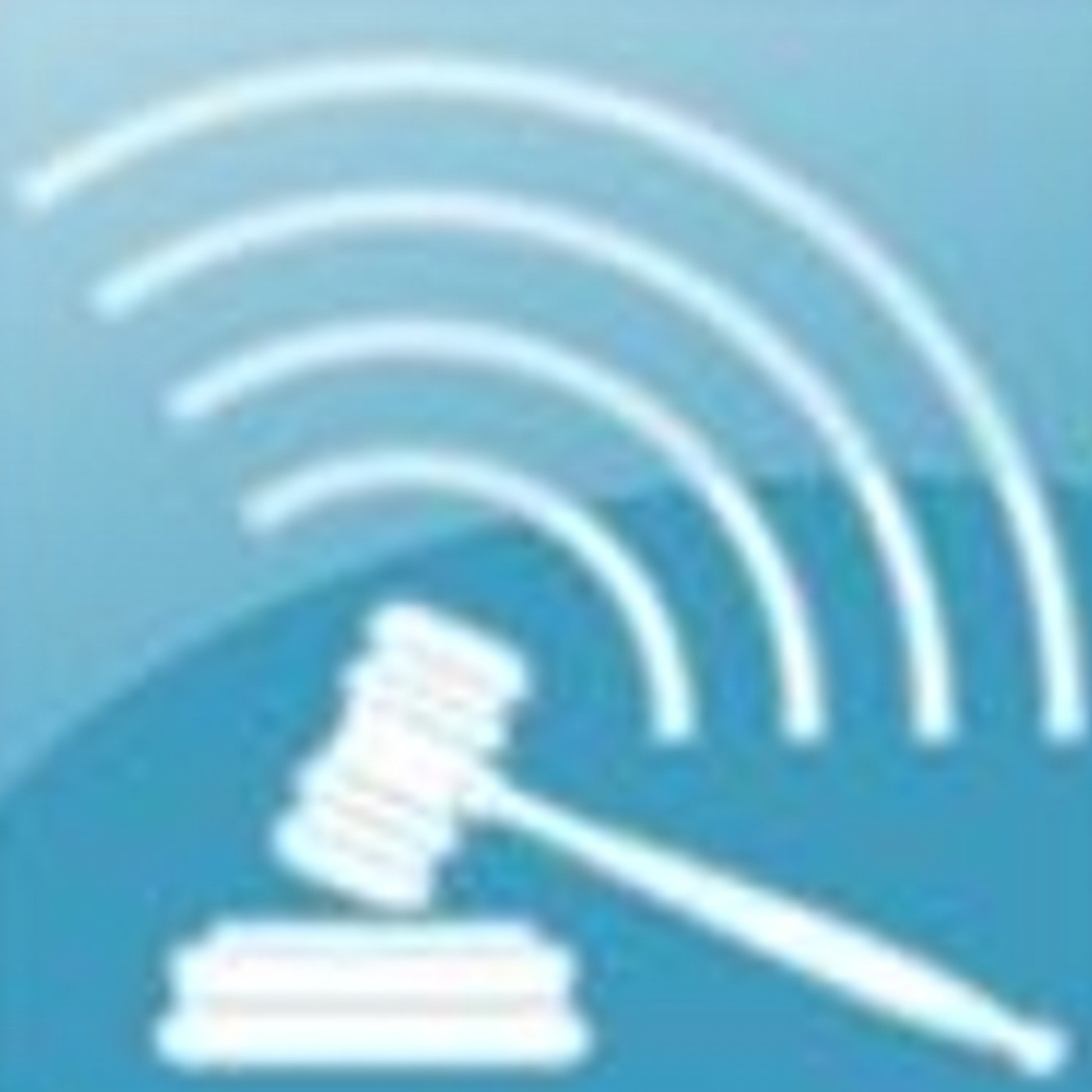 DEBATES CONSTITUCIONALES