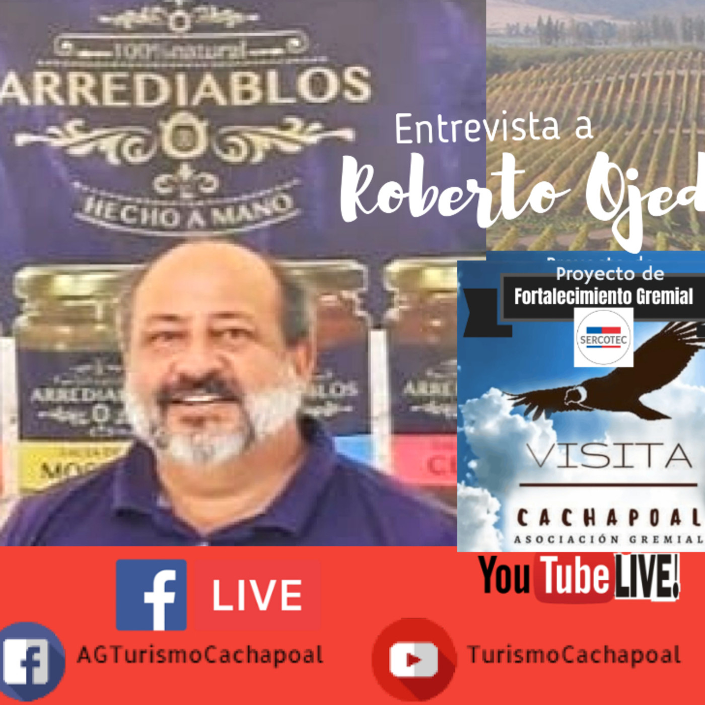 AG Turismo Cachapoal