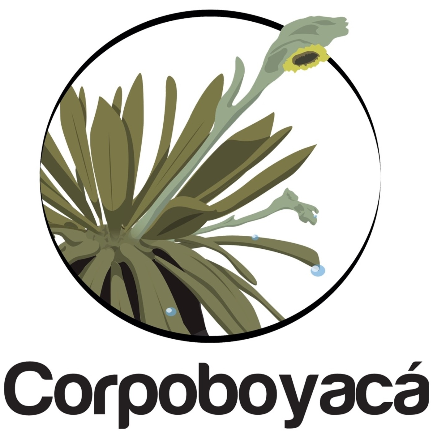 corpoboyaca