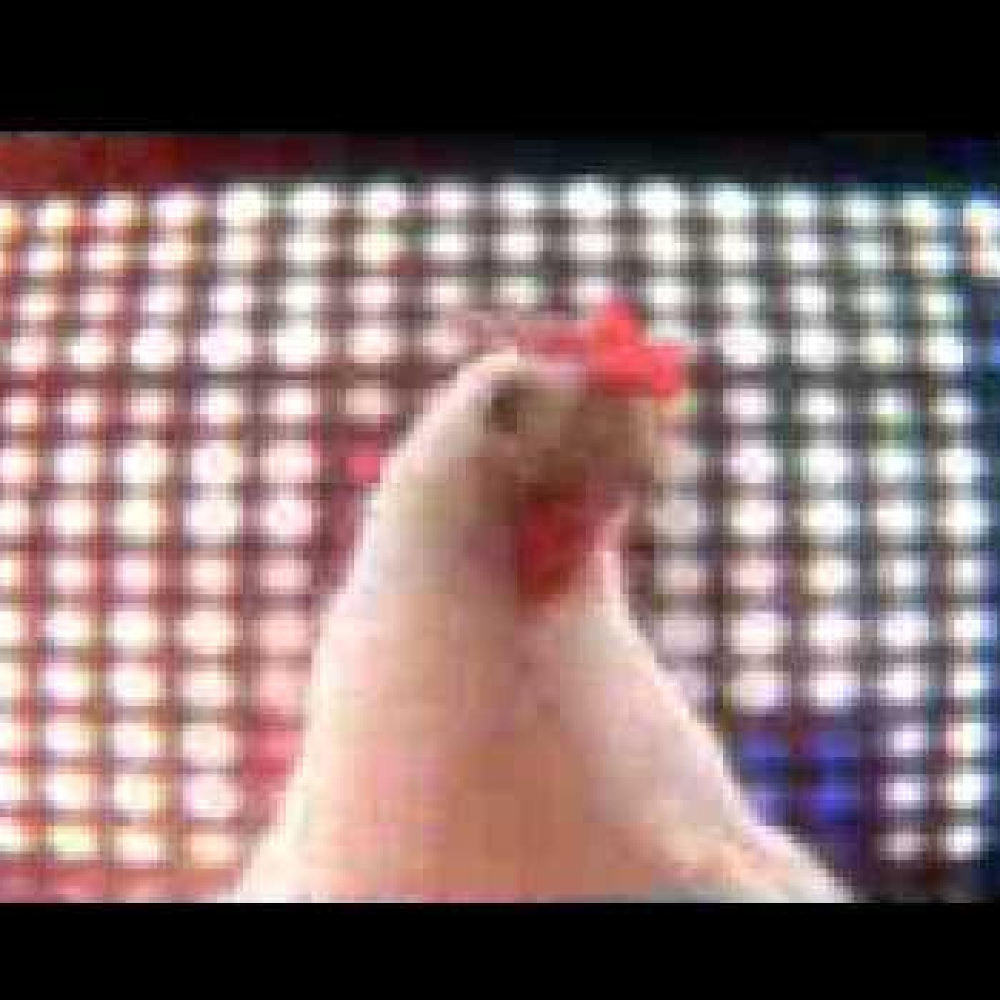 electro, mix,remix,pop, cumbia ,etc