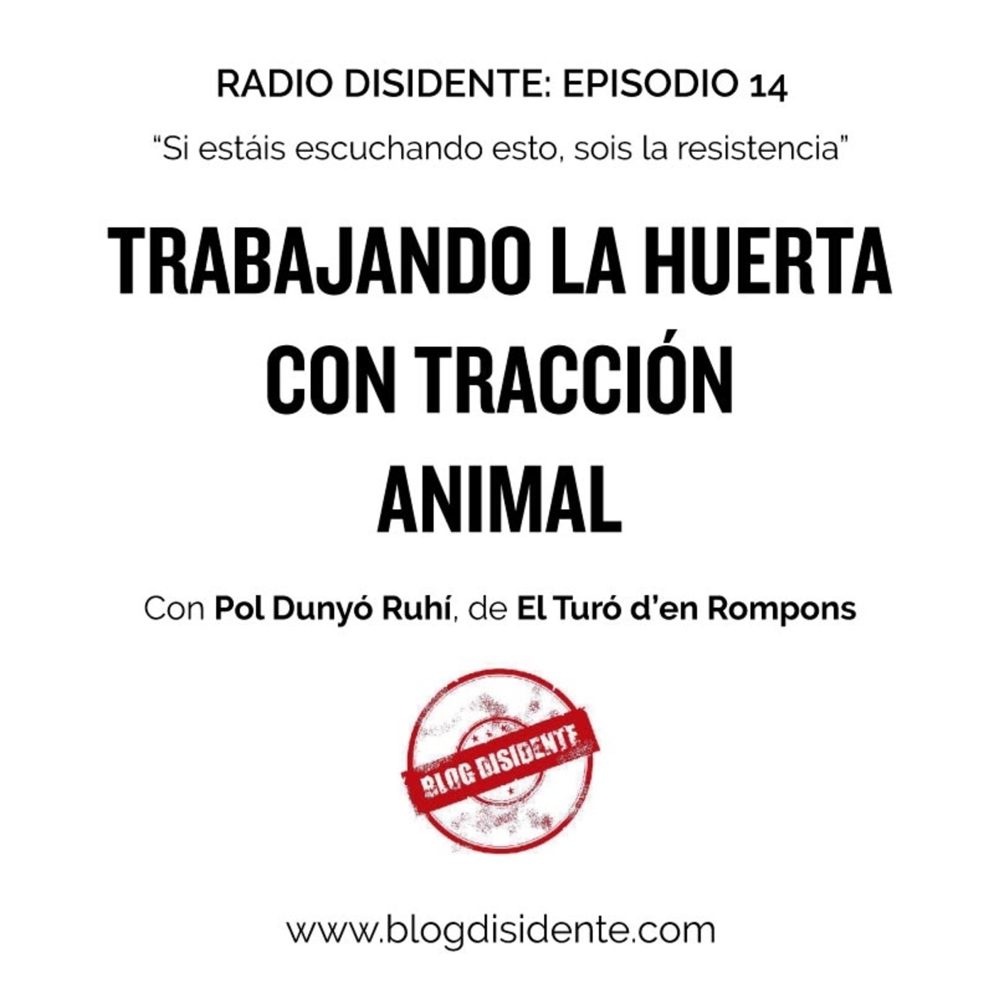 Radio Disidente